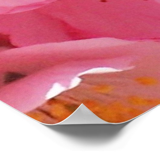 ピンクの春 ポスター (角)