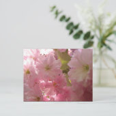 ピンクの春 ポストカード (スタンド正面)