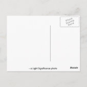 ピンクの春 ポストカード (裏面)