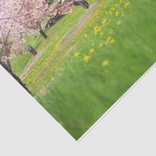 ピンクの木と花でポーズをとるカタツムジー赤い納屋 薄葉紙 (詳細)