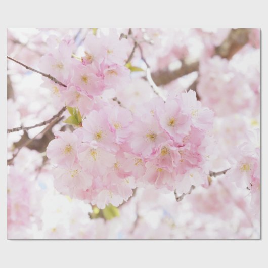 ピンクの木の桜の桜 ラッピングペーパー (フラット)