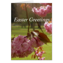 ピンクの木の花のイースターグリーティングカード