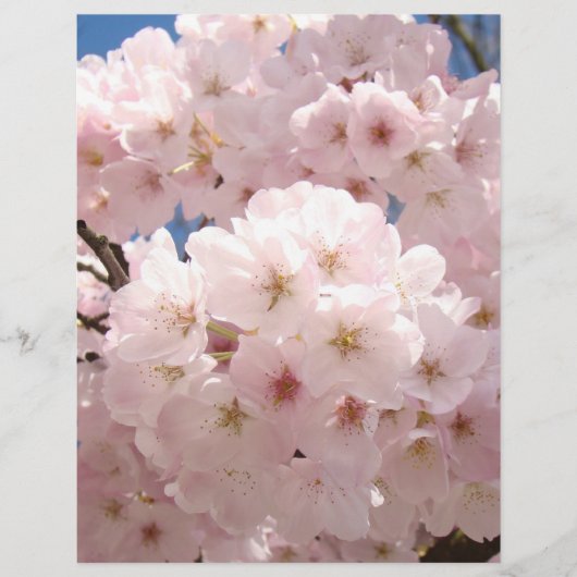 ピンクの木の花・花・スクラップブッキングペーパー (正面)