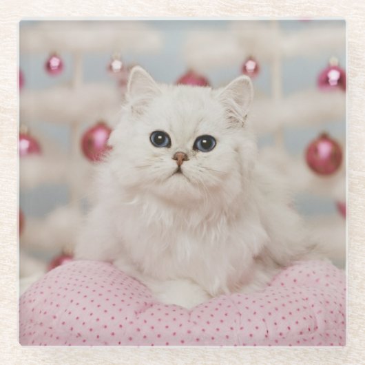 ピンクの枕に坐っているペルシャ ガラスコースター (正面)