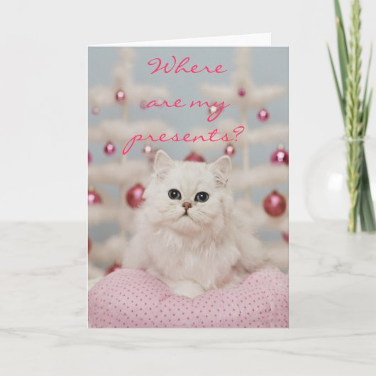 ピンクの枕に坐っているペルシャ シーズンカード (正面)