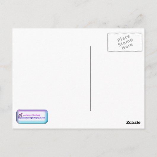 ピンクの桜が咲く垂れ柳のポストカード ポストカード (裏面)