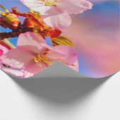 ピンクの桜が晴れた春の日に咲く ラッピングペーパー (角)