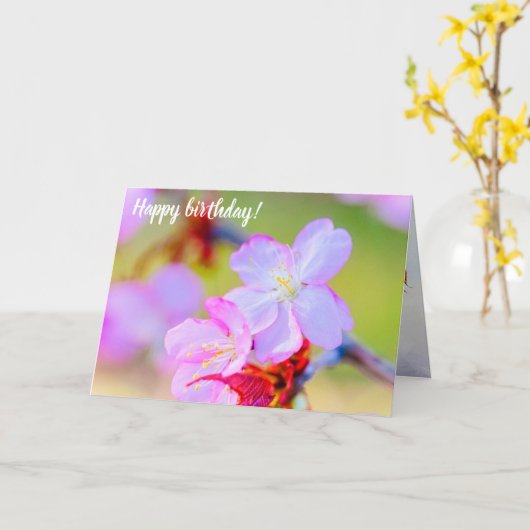 ピンクの桜さくらんぼの花々のクローズアップ カード (黄色い花)