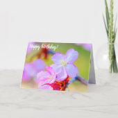 ピンクの桜さくらんぼの花々のクローズアップ カード (正面)