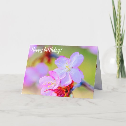 ピンクの桜さくらんぼの花々のクローズアップ カード (正面)