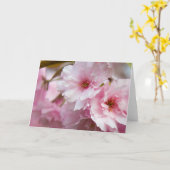 ピンクの桜の花 カード (黄色い花)