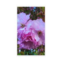 ピンクの桜の花