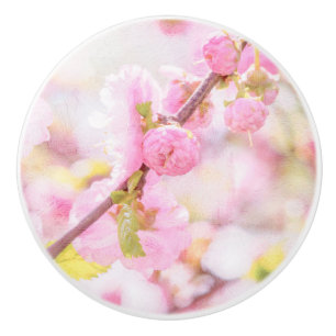 ピンクの桜の花 - 日本の桜 セラミックノブ