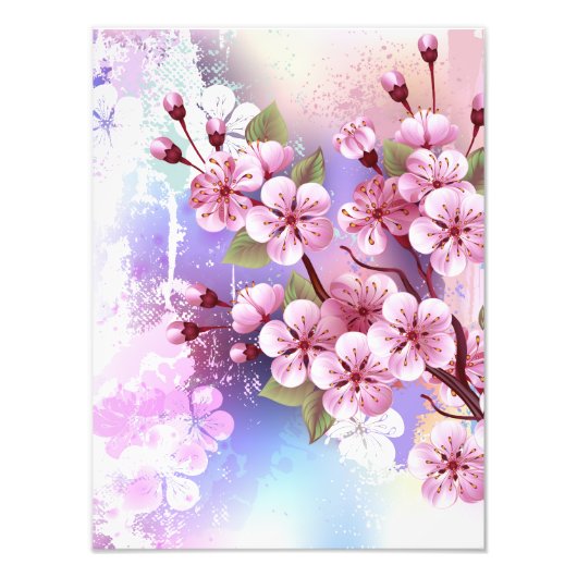 ピンクの桜絵画の背景 フォトプリント            (正面)