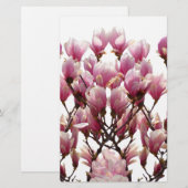 ピンクの桜色のマグノリアの春の花 便箋 (正面/裏面)