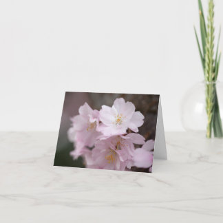 ピンクの桜 サンキューカード