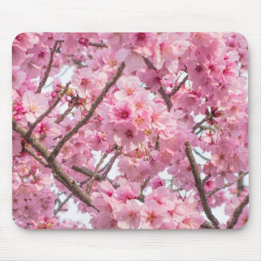 ピンクの桜 マウスパッド (正面)