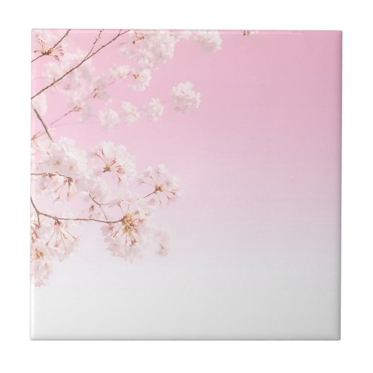ピンクの桜 春の静けさ タイル (正面)