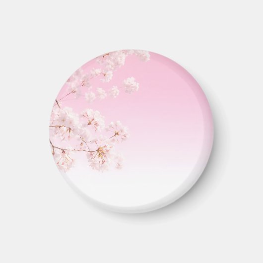 ピンクの桜 春の静寂 マグネット (正面)