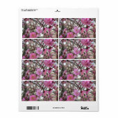ピンクの桜/桜/サクラの（の桜) ラベル (フルシート)