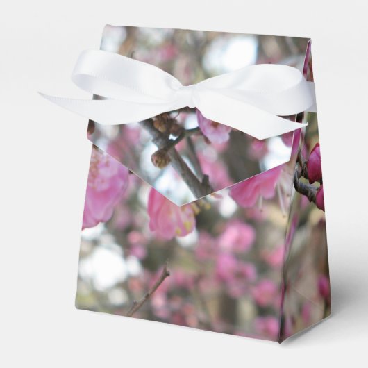 ピンクの桜 / 桜 / サクラ フェイバーボックス (正面サイド)
