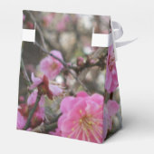 ピンクの桜 / 桜 / サクラ フェイバーボックス (裏面サイド)