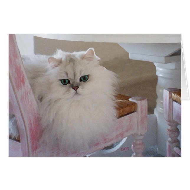 ピンクの椅子に座る白いペルシャ猫 (正面横)