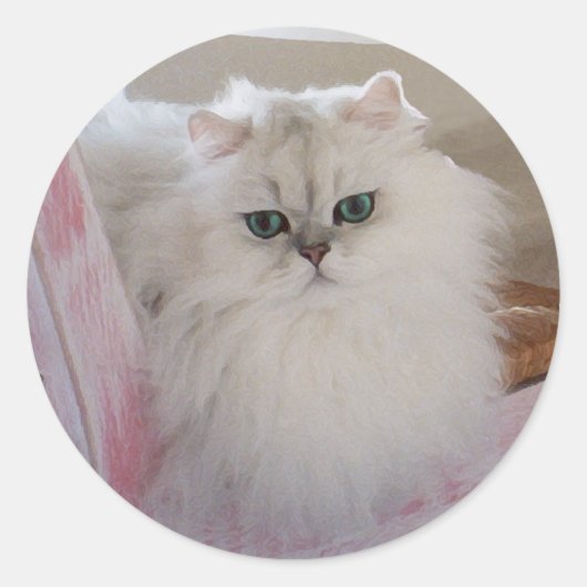 ピンクの椅子に座る白いペルシャ猫 ラウンドシール (正面)