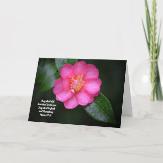 ピンクの椿の花と聖なる書物、 経典詩篇92:14 カード