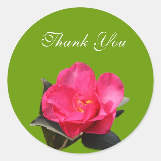 ピンクの椿の花感謝していあなたがシール ラウンドシール (正面)