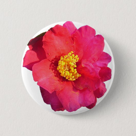 ピンクの椿の花 缶バッジ (正面)
