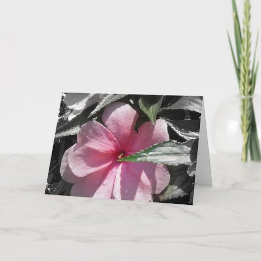 ピンクの気短か カード (正面)