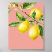 ピンクの水の色のレモンのポスター ポスター (正面)