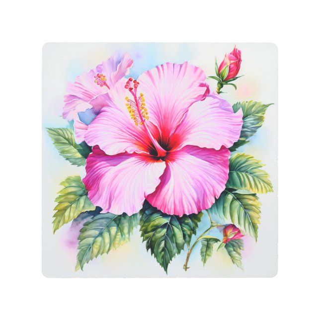 ピンクの水の色ハイビスカスメタルウォールアート メタルプリント (正面)