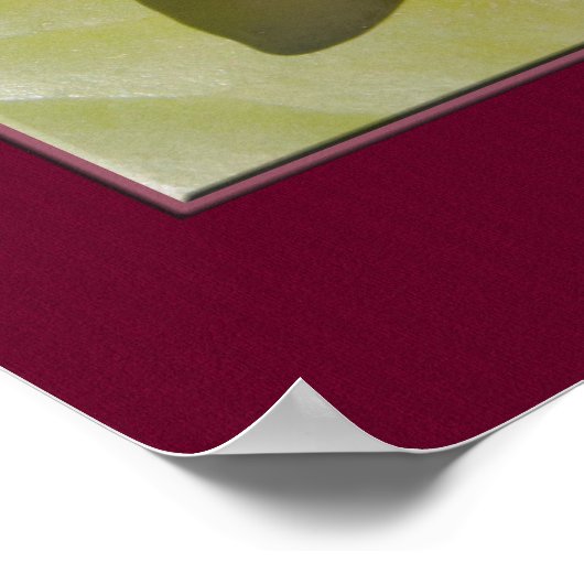 ピンクの水ゆりの花クローズアップフォトカスタム ポスター (角)