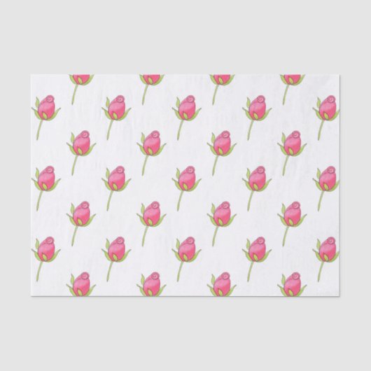 ピンクの水彩画のバラの花芽のパターン 薄葉紙 (正面)