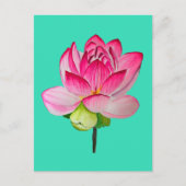 ピンクの水彩蓮の花のアー素晴らしト ポストカード (正面)