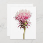 ピンクの水色のアザミのワイルドフラワー開花 ノートカード (正面/裏面)