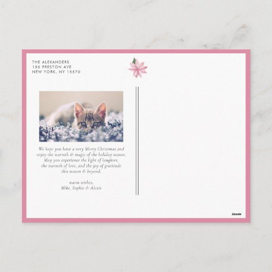 ピンクの水色ポインセチアのフレームフォト シーズンポストカード (裏面)