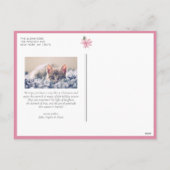 ピンクの水色ポインセチア枠クリスマスフォト シーズンポストカード (裏面)