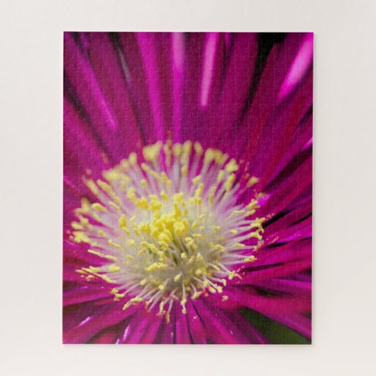 ピンクの氷菜の花 ジグソーパズル (縦)