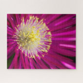 ピンクの氷菜の花 ジグソーパズル (横)