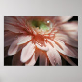 ピンクの泡 ポスター (正面)