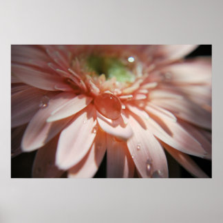 ピンクの泡 ポスター