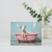 ピンクの浴槽に入ったヤギ ポストカード (スタンド正面)