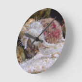 ピンクの海馬の生き物 ラウンド壁時計 (傾斜)