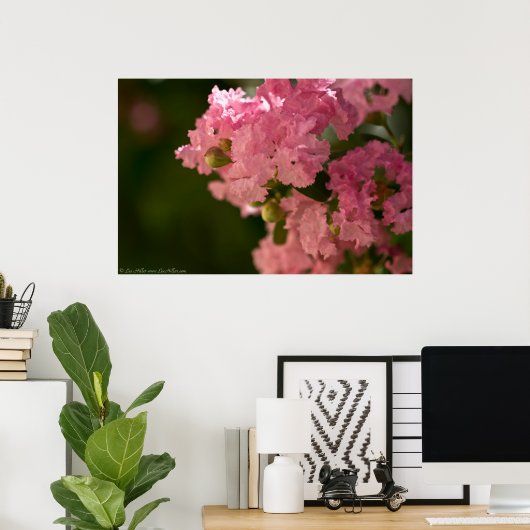 ピンクの淡い色のクレープマートルの花のポスター ポスター (ホームオフィス)