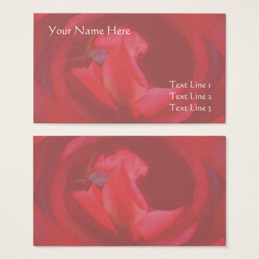 ピンクの渦巻きバラの花の名刺 (正面&裏面)