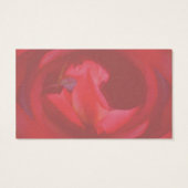 ピンクの渦巻きバラの花の名刺 (裏面)