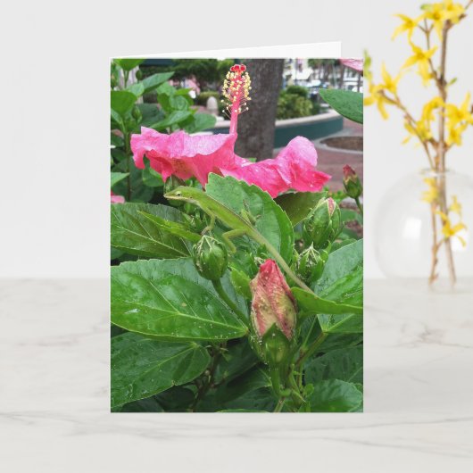 ピンクの熱帯のハイビスカスの花に擬態したトカゲ カード (黄色い花)
